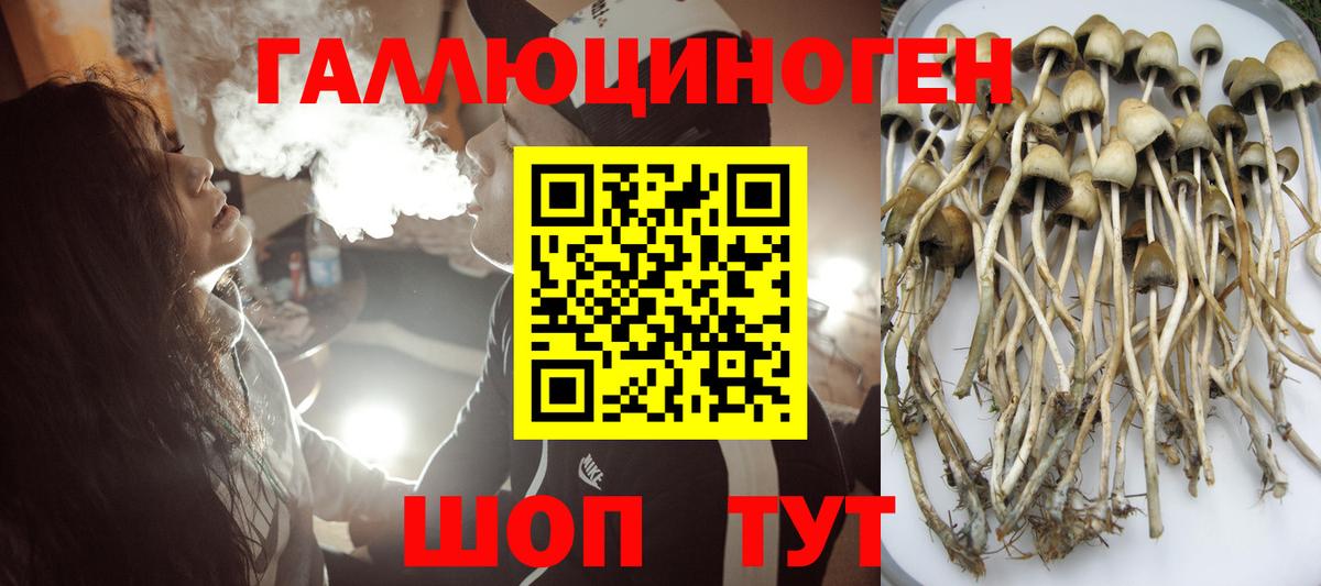 Соль-Илецк  Псилоцибиновые грибы Magic Shrooms  Псилоцибиновые грибы Cubensis  Вход с VPN 